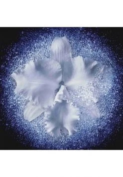 GUERLAIN Orchidée Impériale Micro-Lift Concentrate 30ml -GESICHTSPFLEGE Verkäufe unnamed file 202