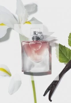 LANCÔME LA VIE EST BELLE 200.0 ML -GESICHTSPFLEGE Verkäufe unnamed file 314