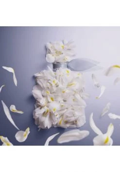 LANCÔME LA VIE EST BELLE 200.0 ML -GESICHTSPFLEGE Verkäufe unnamed file 315