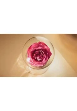 LANCÔME ABSOLUE 60.0 ML -GESICHTSPFLEGE Verkäufe unnamed file 327