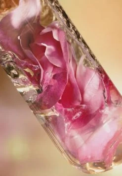 LANCÔME ABSOLUE 60.0 ML -GESICHTSPFLEGE Verkäufe unnamed file 328